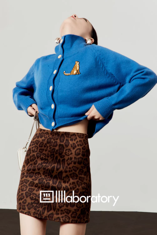 Stand Collar Knit Top / Leopard Print Mini Skirt