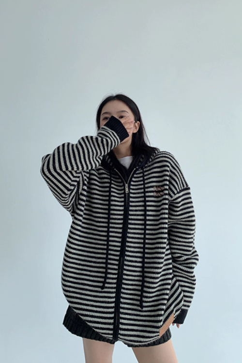 Thin Striped Knit Hoodie