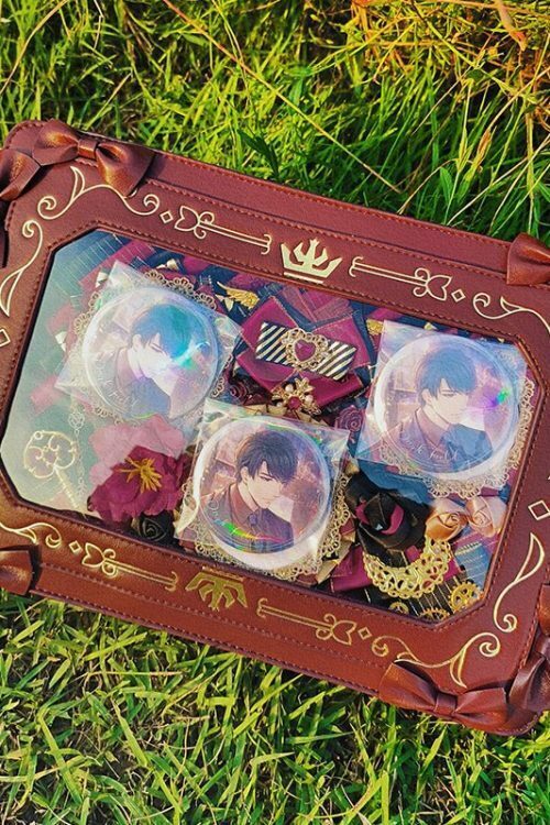 Tote Bag with Included Insert for Plushies and Pins