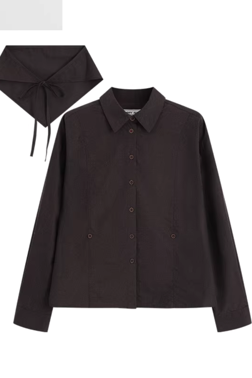 Vintage Brushed Two-Way Shirt / Pleated Lace Skirt